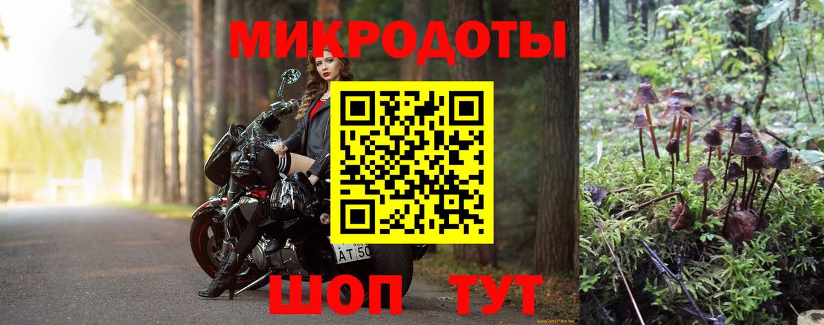 Качканар  Галлюциногенные грибы прущие грибы  купить   Вход с VPN 